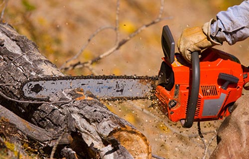 ������������ �������� � ����������